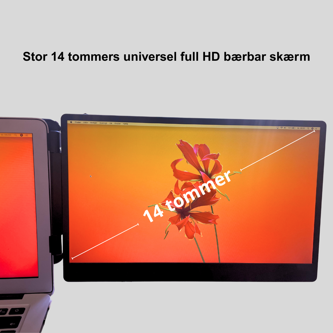 ProScreen Duoskærm